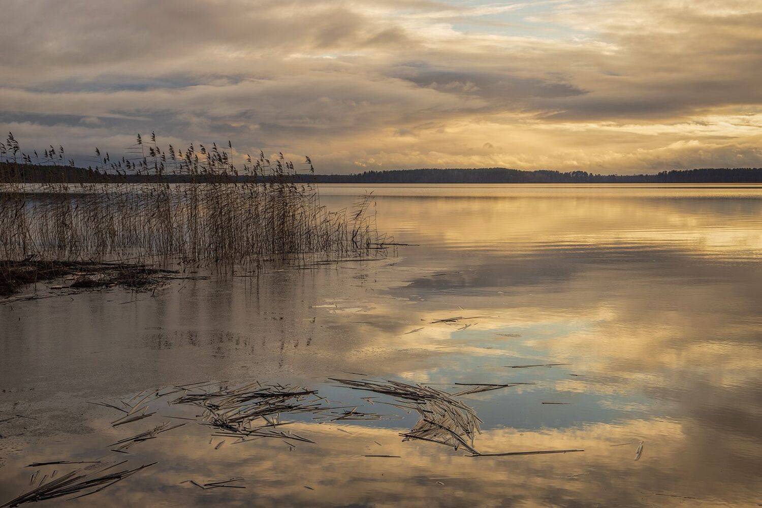 ленинградская обл,лемболовское озеро, alexOmRam