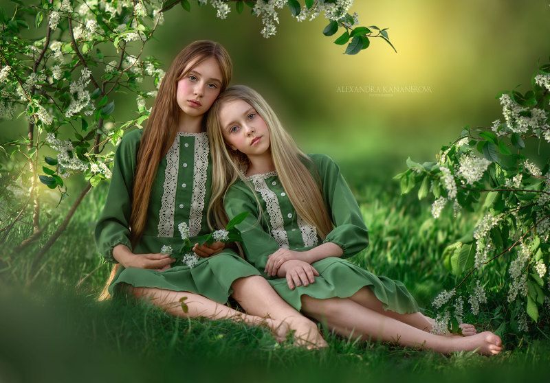 Черёмуха фото превью