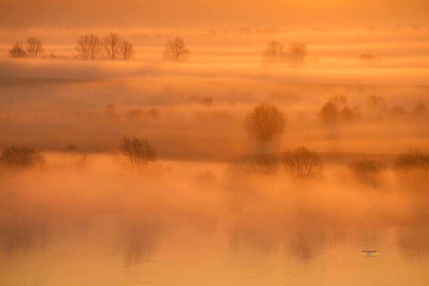   Misty morning, sunrise, fog, landscape, colors of sunrise, trees, orange, Roman Hudzik
