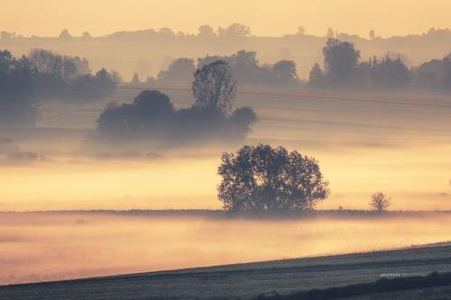 mystical morning...
