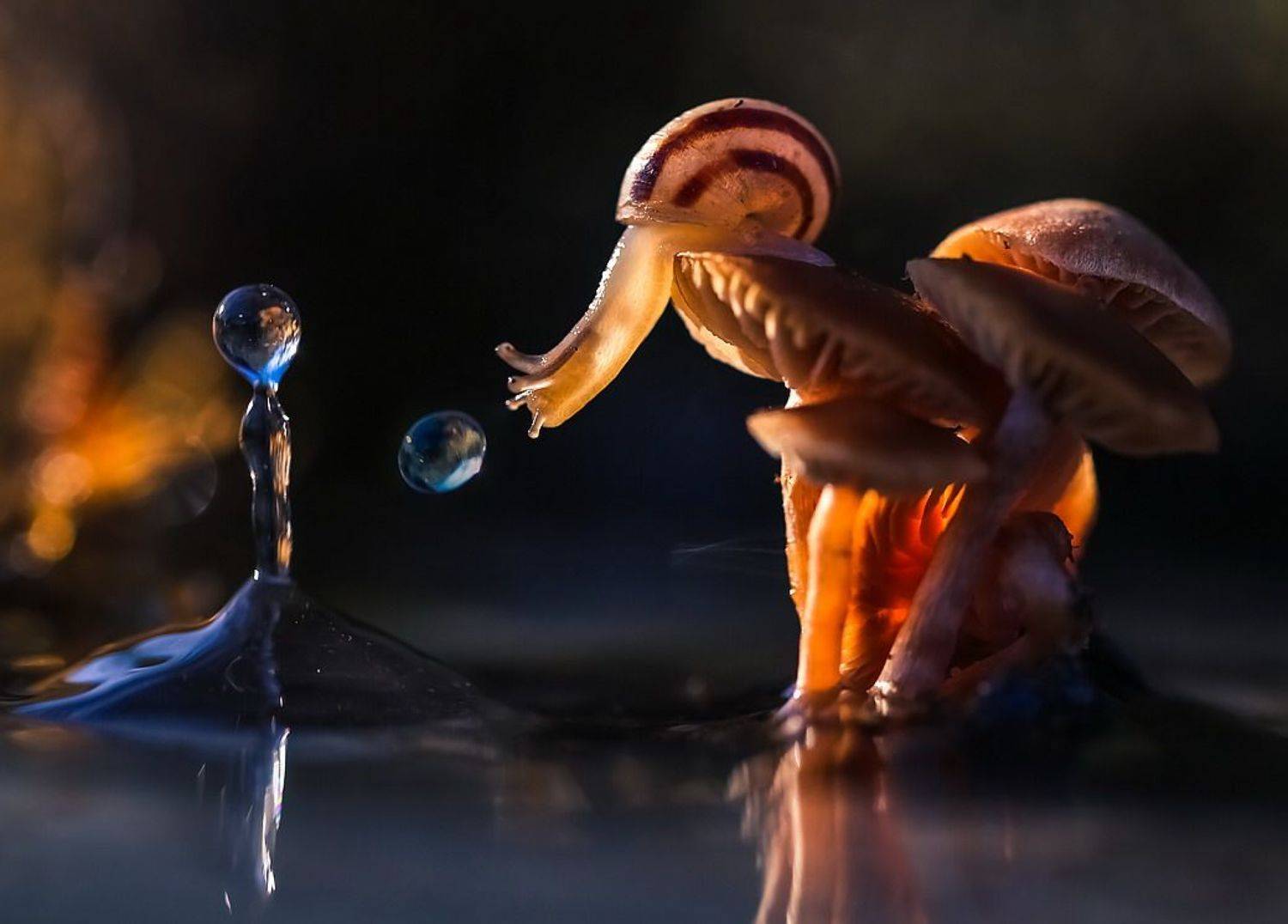 , Вячеслав Мищенко