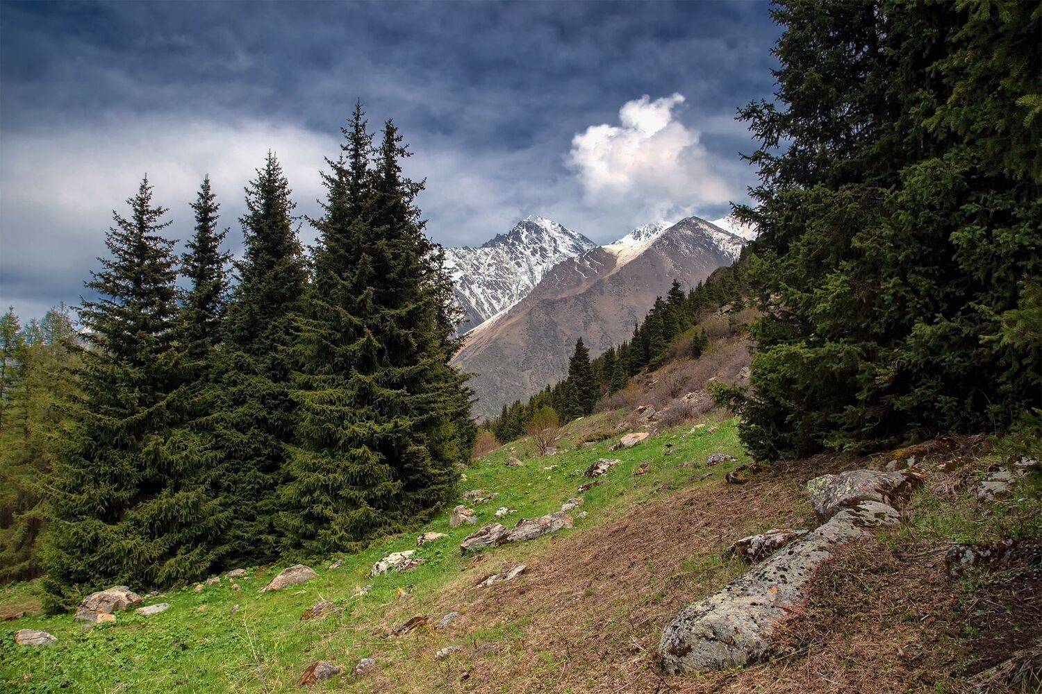 кыргызстан, горы, Элина Магалимова