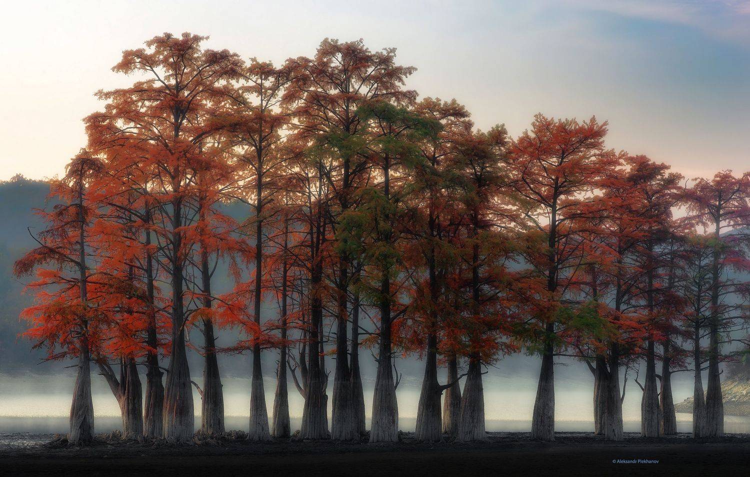 , Alexander Plekhanov