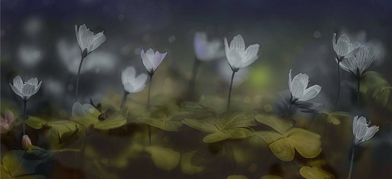 , Галина  Юняева