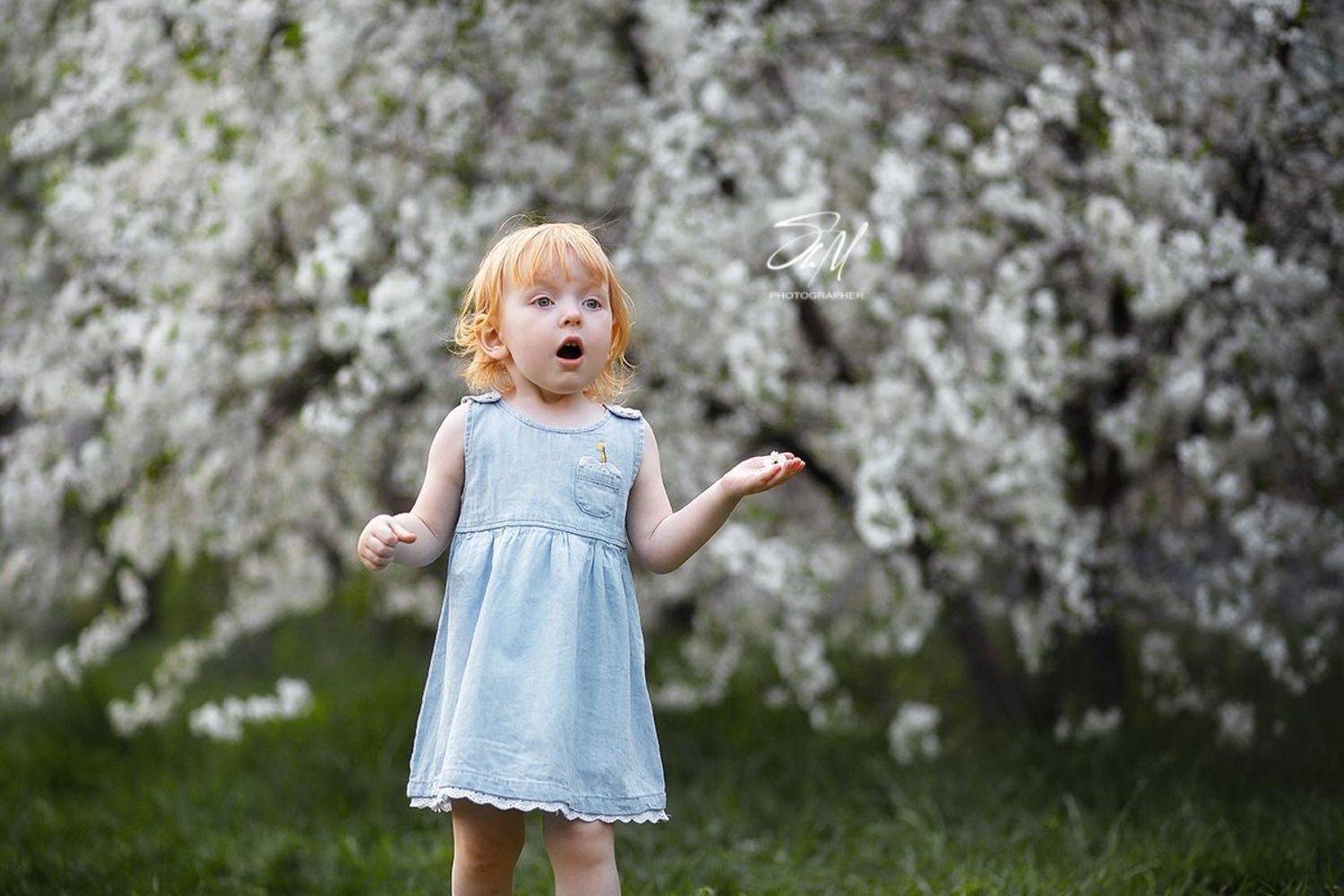 , Мила Шелест