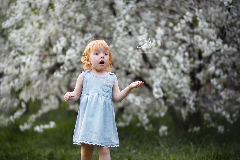 * фото превью