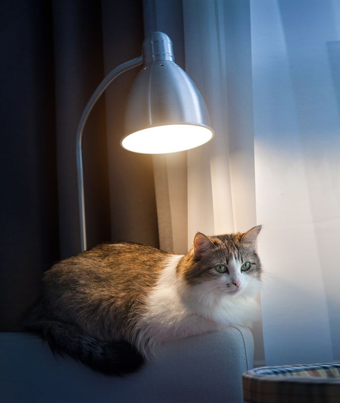 *** фото превью