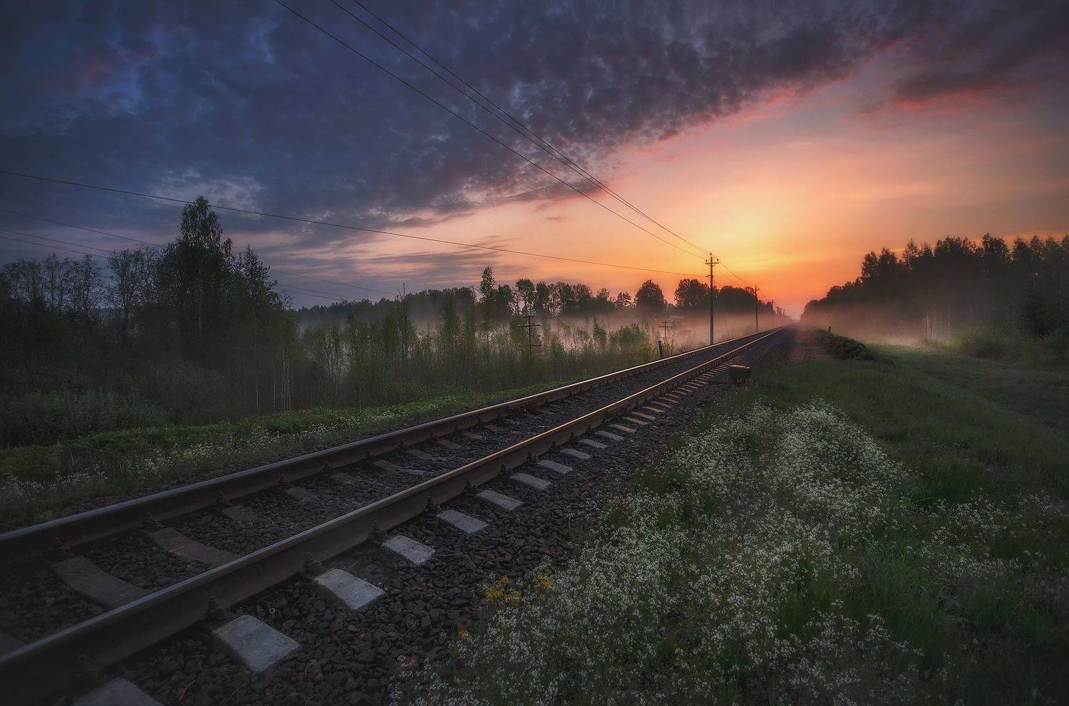 луга, пейзаж, весна, Таня SHE (Aiya)