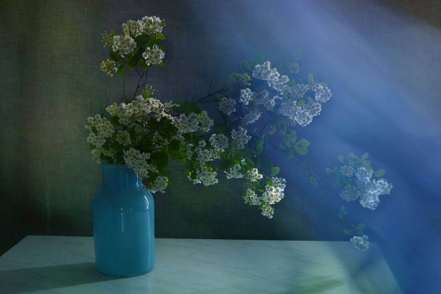 натюрморт,композиция,свет,лето,букет, Инаида