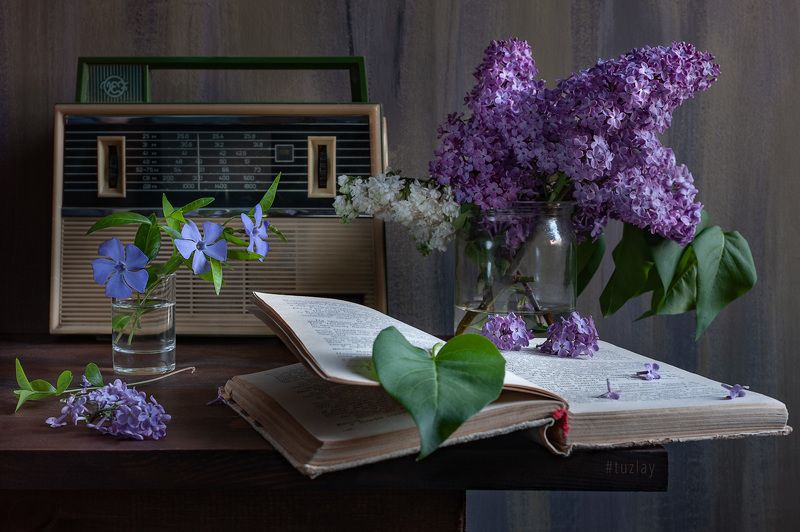 сирень, спидола, ретро радио Еще пара кадров со Спидолой фото превью