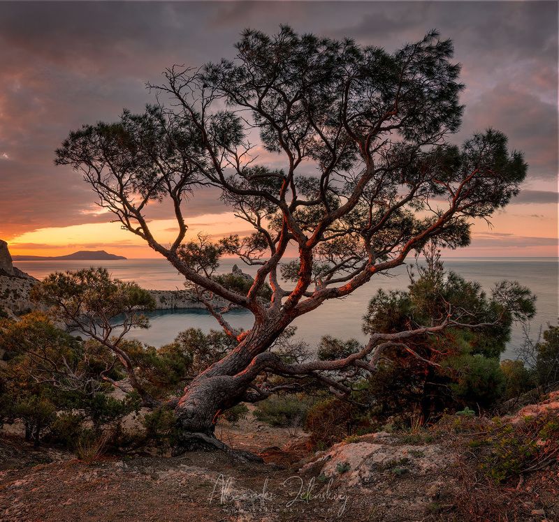 крым Первые лучи фото превью