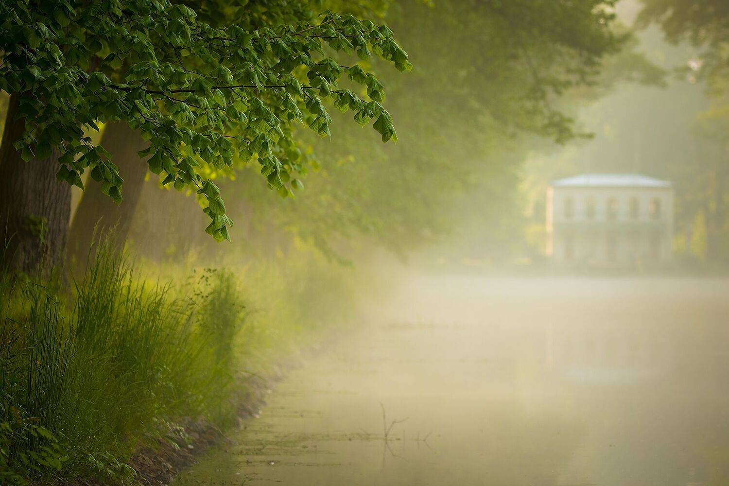 , Robert Adamec
