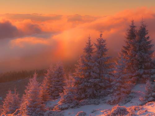 Color of the Morning Sun II
