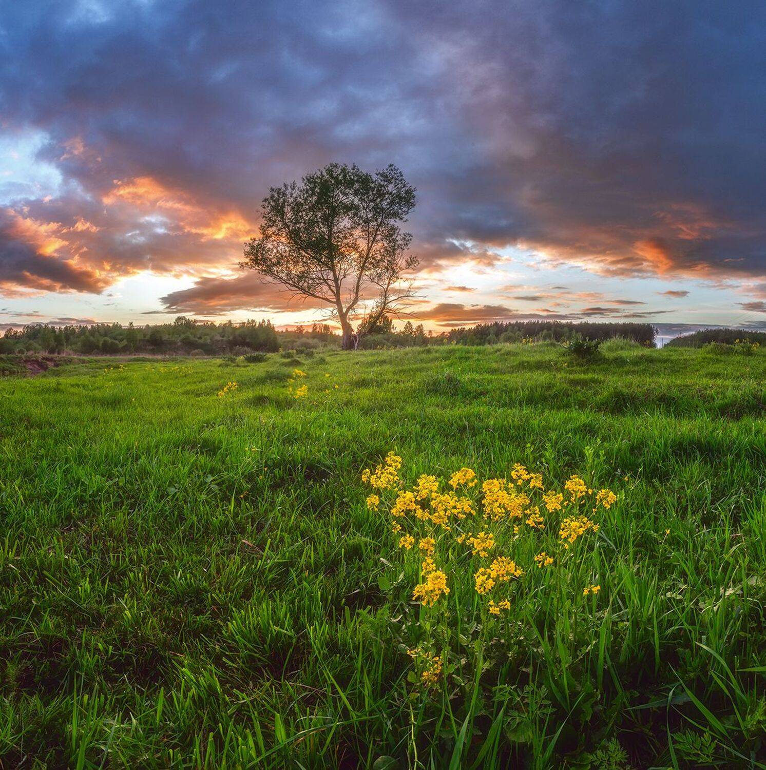 , Николай Андреев