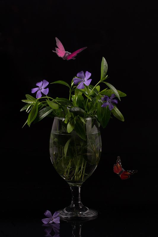 Натюрморт с барвинком фото превью