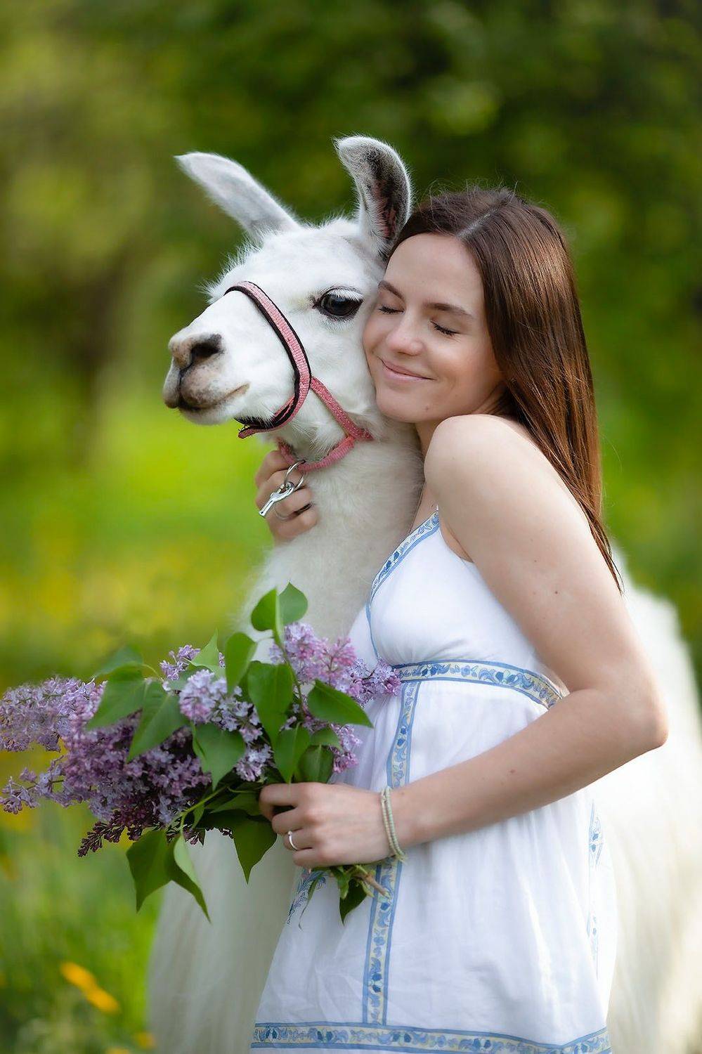 девушка,лама,дружба,красота, настроение, идиллия,природа, girl,lama, friends, emotions, nature, Юлия Стукалова