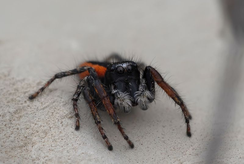 Фото на память фото превью