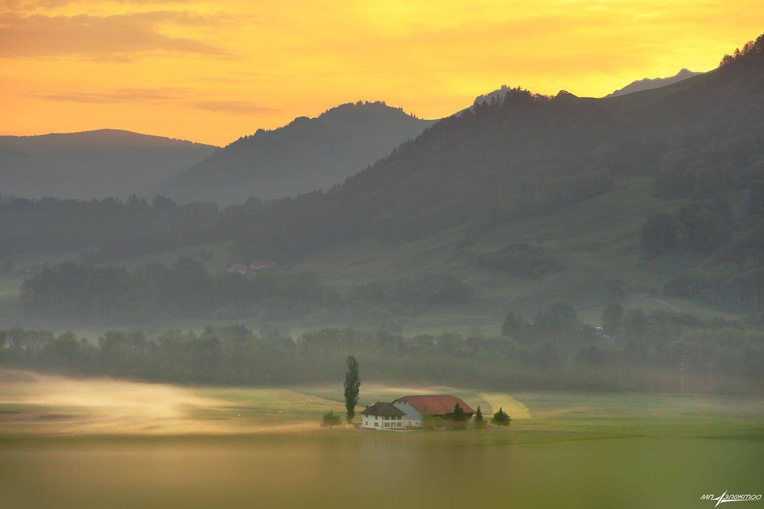 swiss, Матвеев Николай