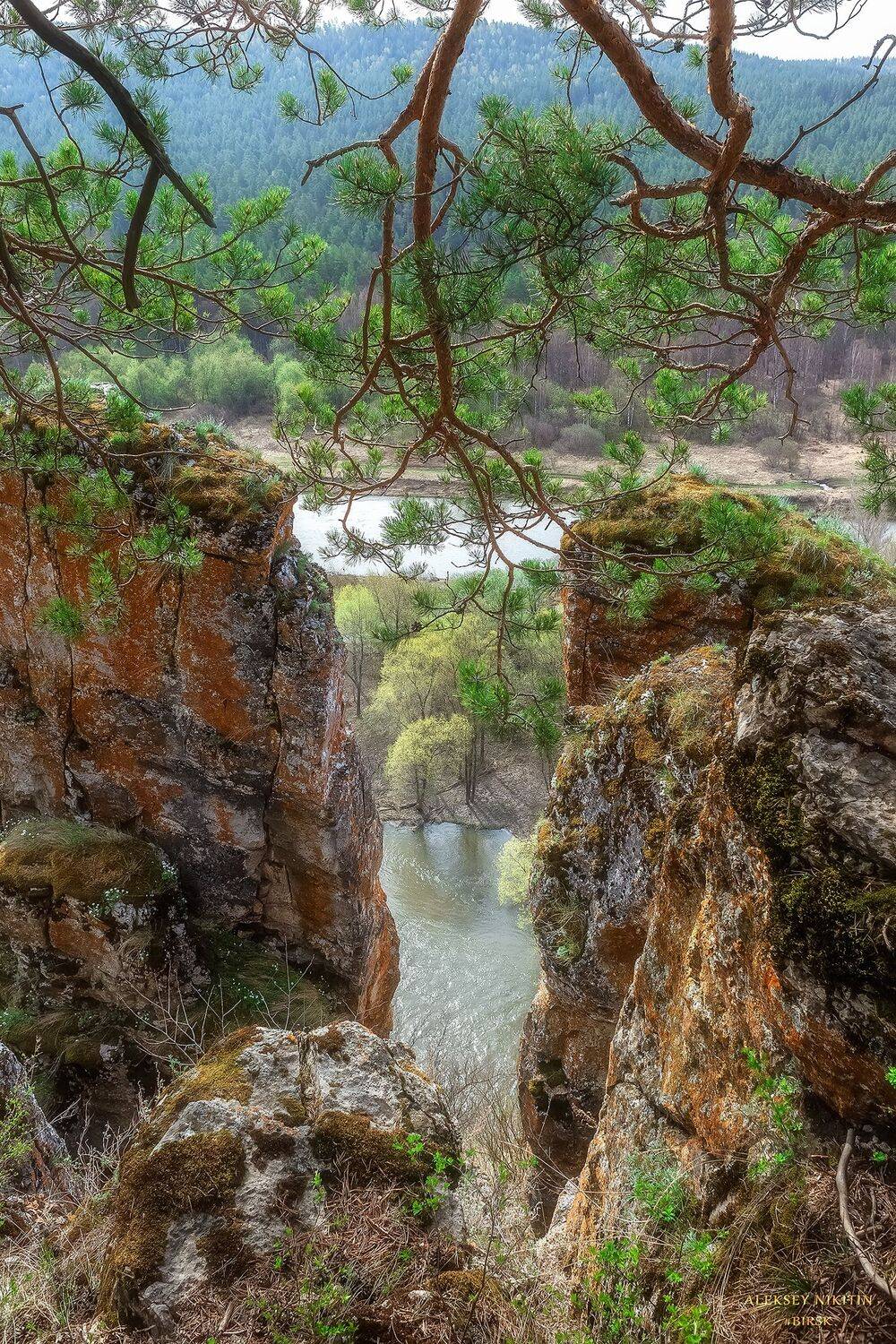 , Алексей Никитин