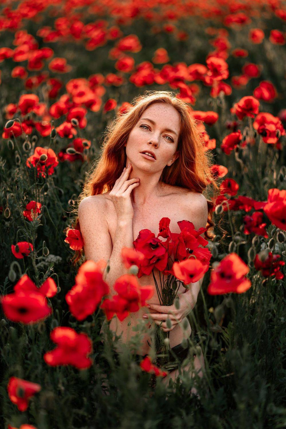 poppies  poppy  flower  flowers  field  girl  women  woman  redhead  face  portrait  underwear  sunset  sunrise  sundown  close up  close-up  closeup, Николай Новиков