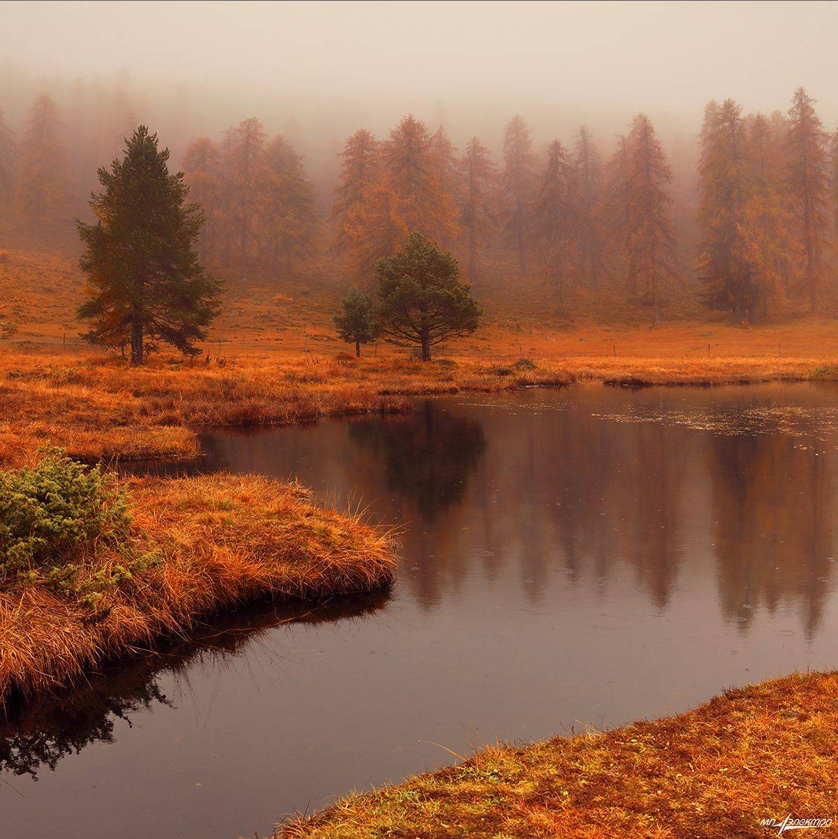 swiss, Матвеев Николай