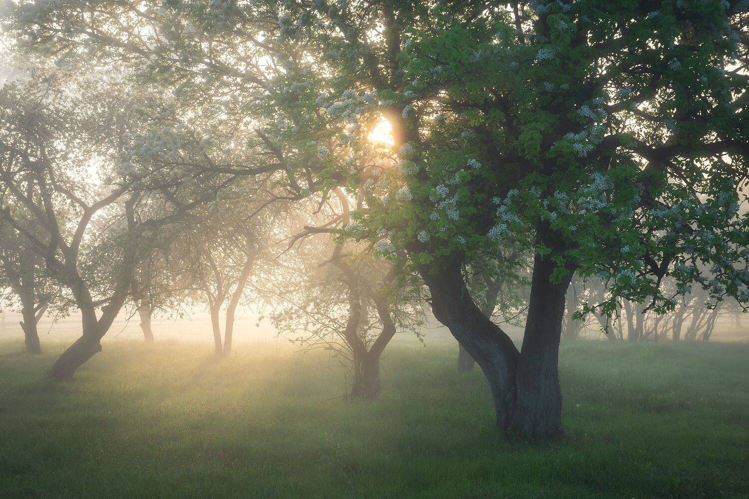 , Дмитрий Захаров