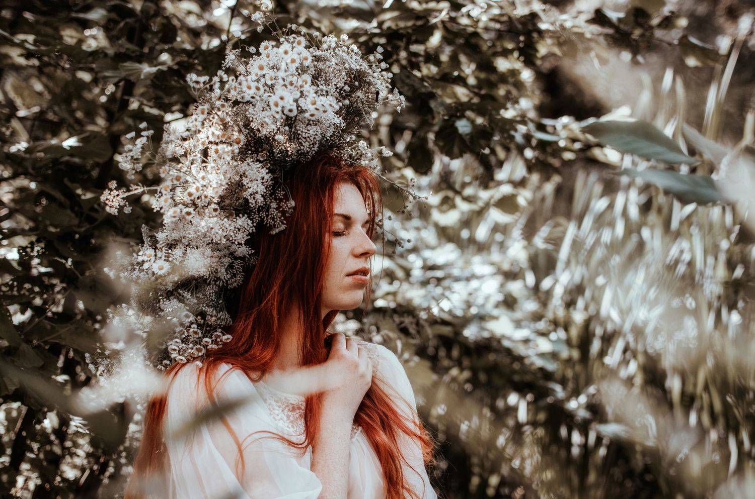 , Виталий Шевченко