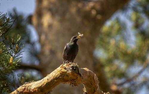 время забот..