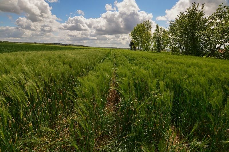 вокруг Braine-le-Chateau фото превью