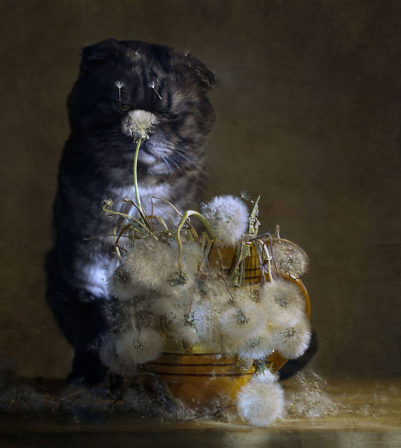 , Светлана Сушкевич