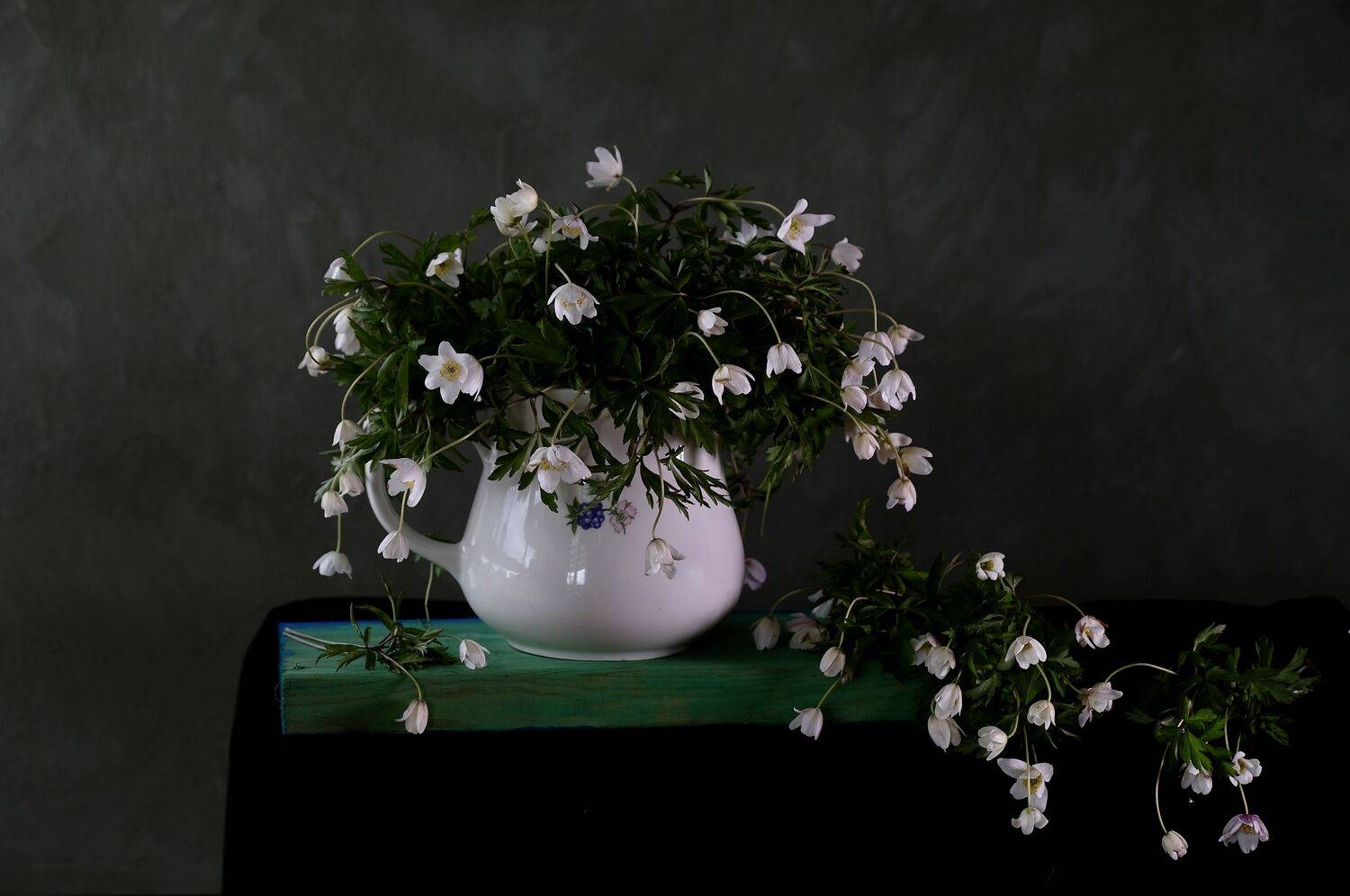 Still life, flowers, anemone, ветреница, nature, Norway, floral, green, Spring, colors, light, white, , Svetlana Povarova Ree