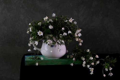 Изменчива, как ветер...