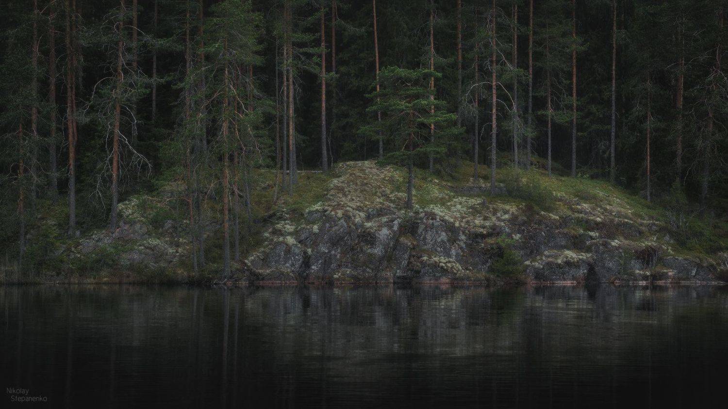 весна, лес, озеро, тайга, ленинградская область, выборгский район, Николай Степаненко