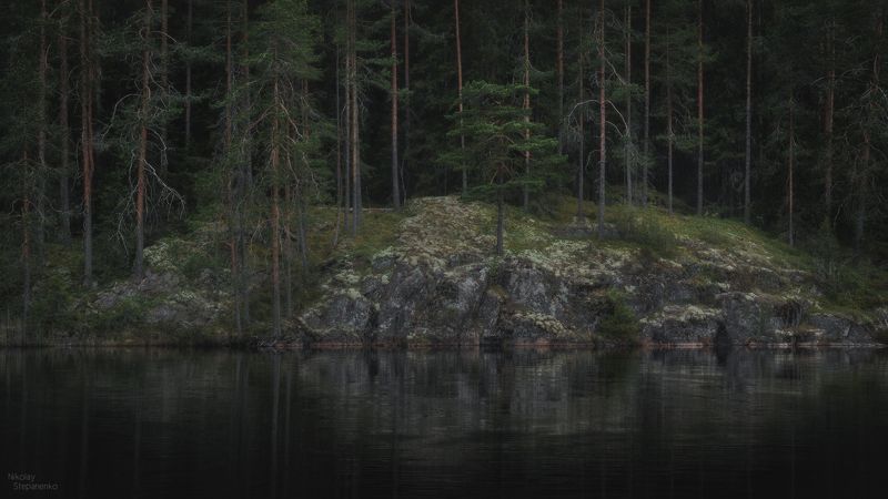 весна, лес, озеро, тайга, ленинградская область, выборгский район Дебри фото превью