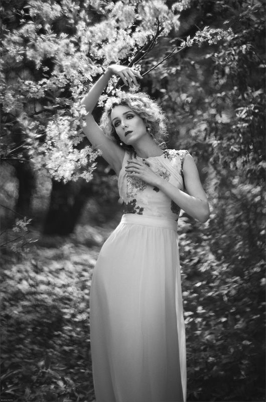 *** фото превью