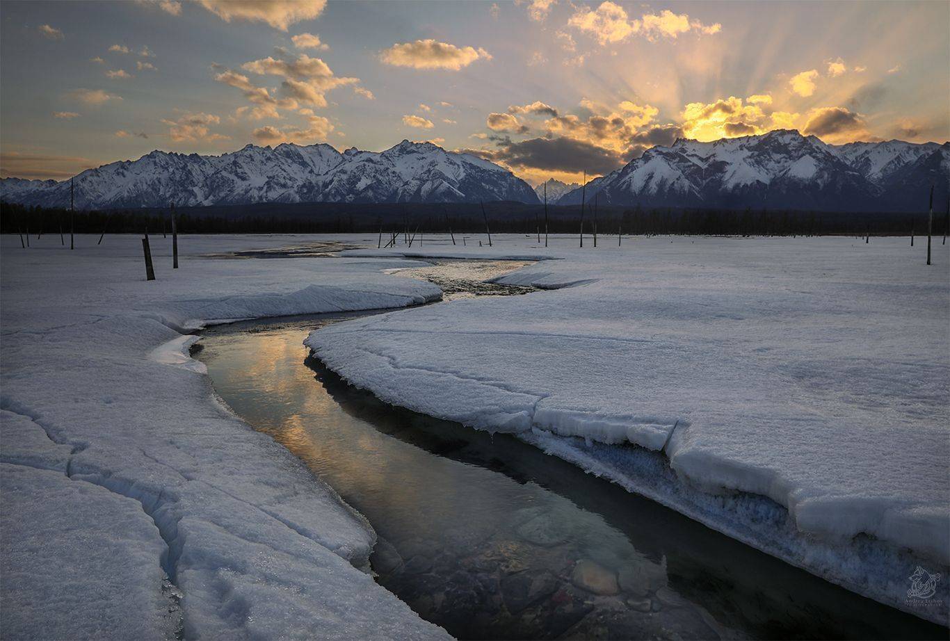 , Андрей Ершов