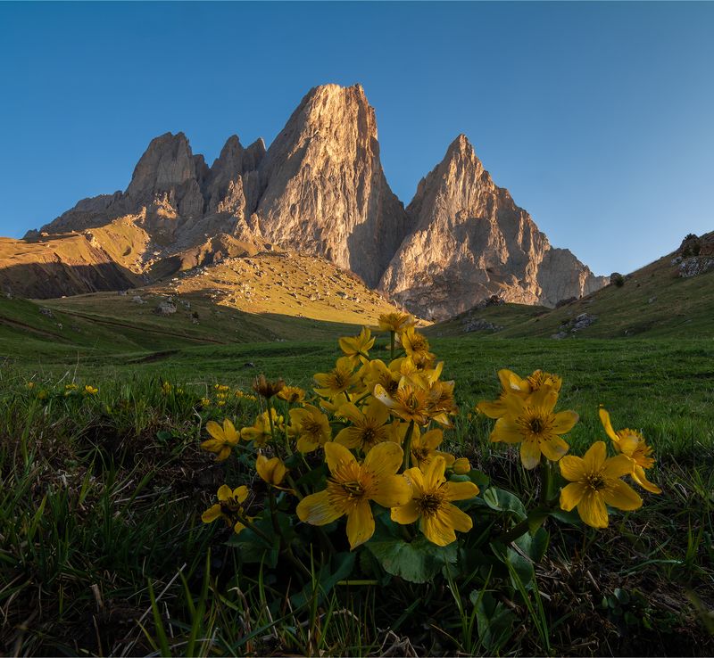 природа, пейзаж, горы, кавказ, природа россии, дикая природа, весна, утро, рассвет Цей-Лоам фото превью