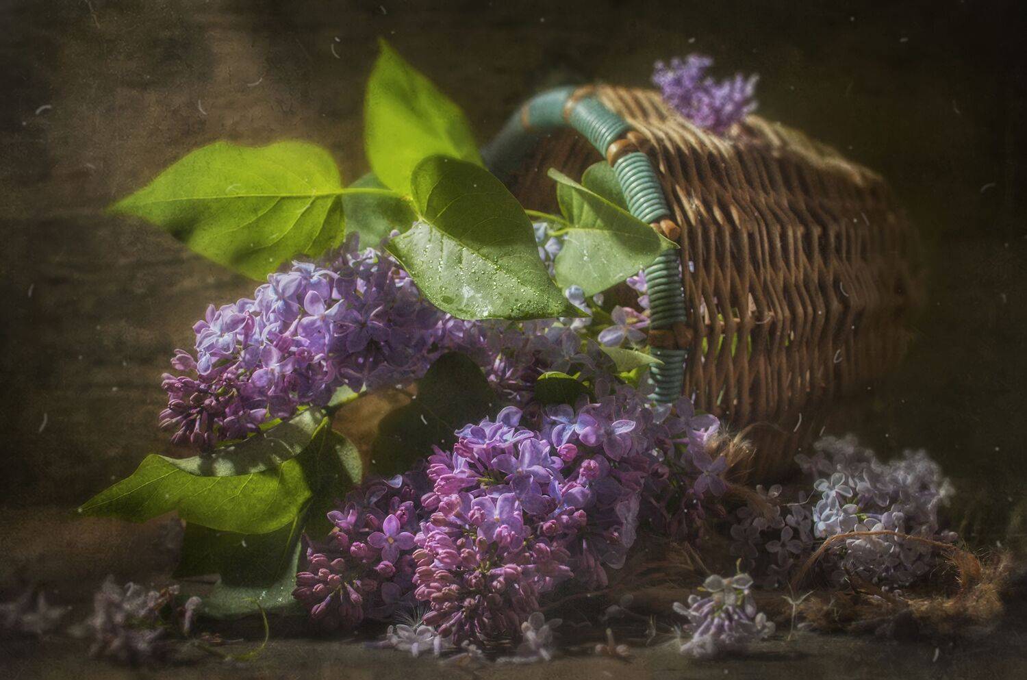 корзина,весна, ветка сирени,дерево,пыль,цветение,ароматная, Владимир Володин