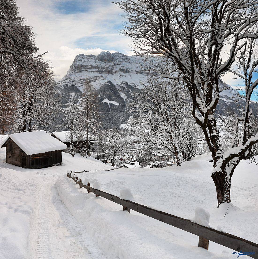 swiss, Матвеев Николай
