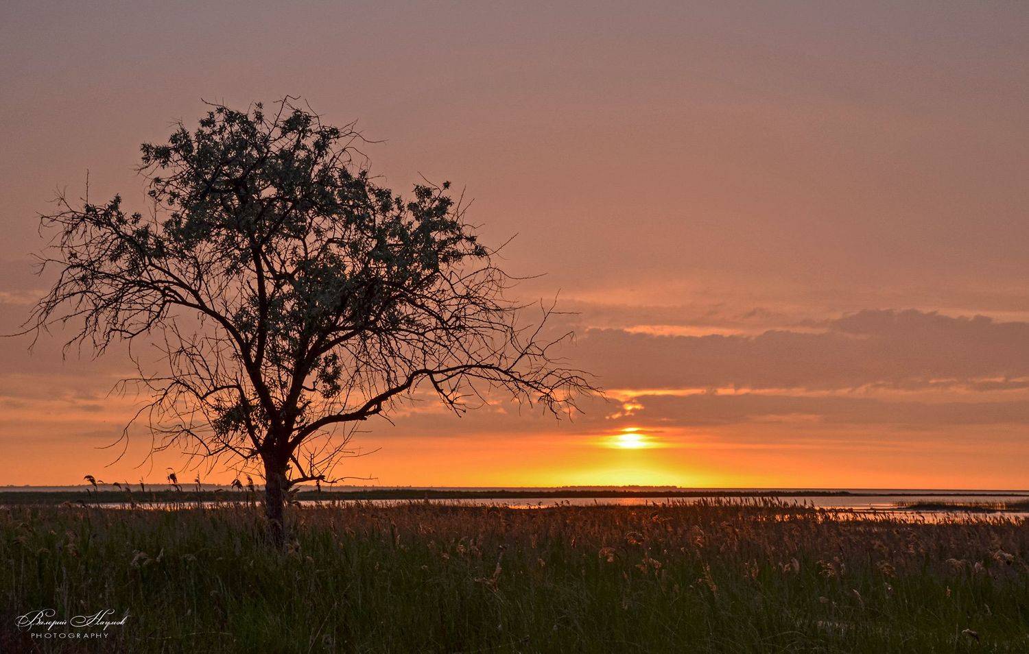 азов, сиваш, закат, вечер, май, арабатская стрелка, стрелковое, Валерий Наумов