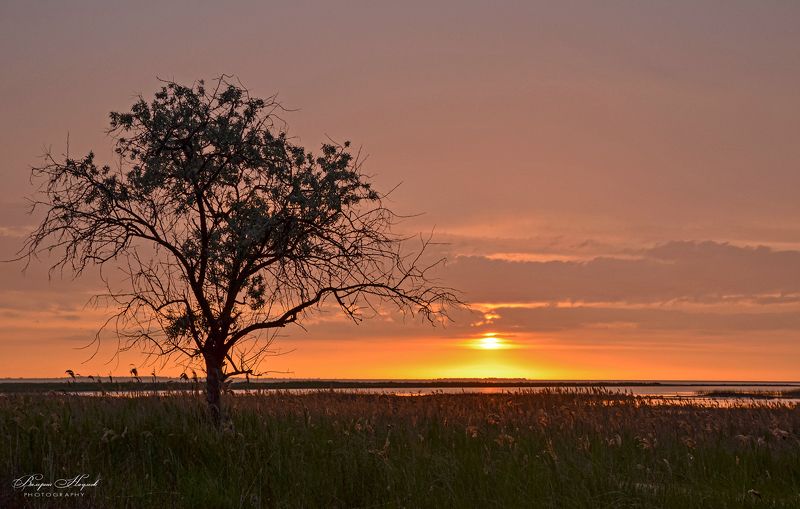 азов, сиваш, закат, вечер, май, арабатская стрелка, стрелковое Одинокий свидетель заката фото превью
