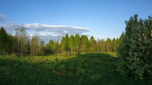 Огоньковый вечер.