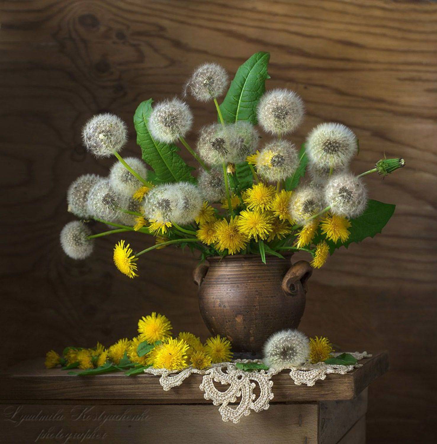 художественное фото,натюрморт,букет с цветами,одуванчики., Людмила Костюченко