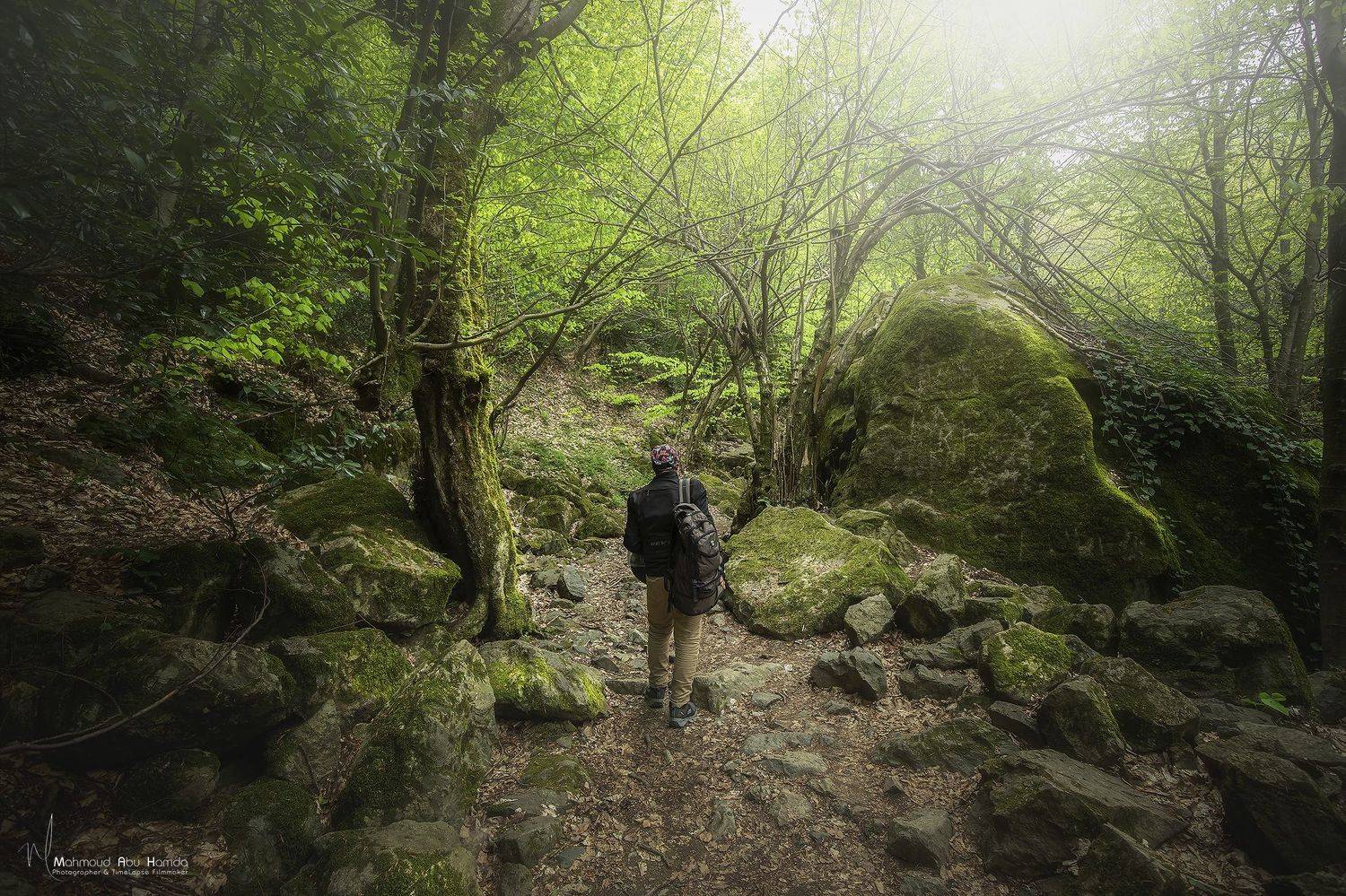 , Махмуд Хамда