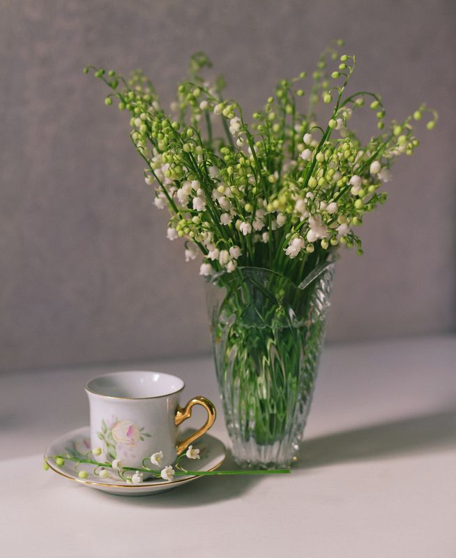 May lily фото превью