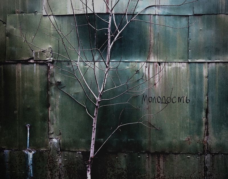 city, urban, tree, youth Youth фото превью