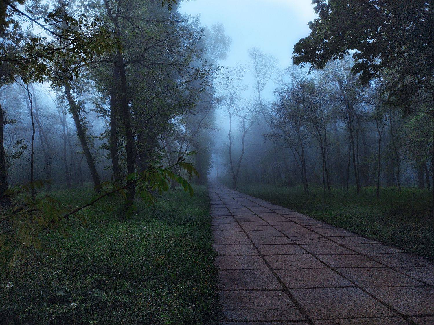 ,  Александр