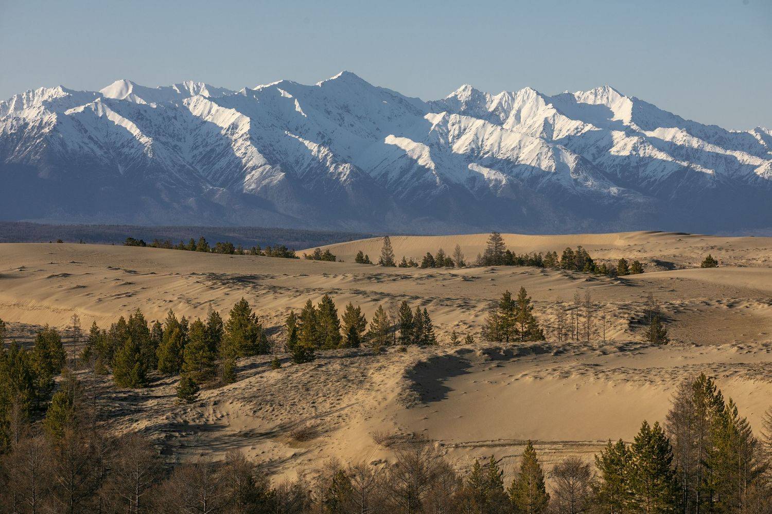 , Андрей Ершов