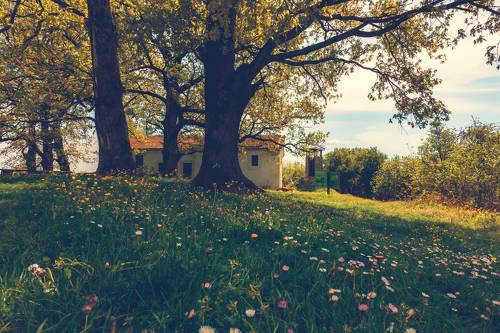 village Slivarovo,Strandzha,Bulgaria
