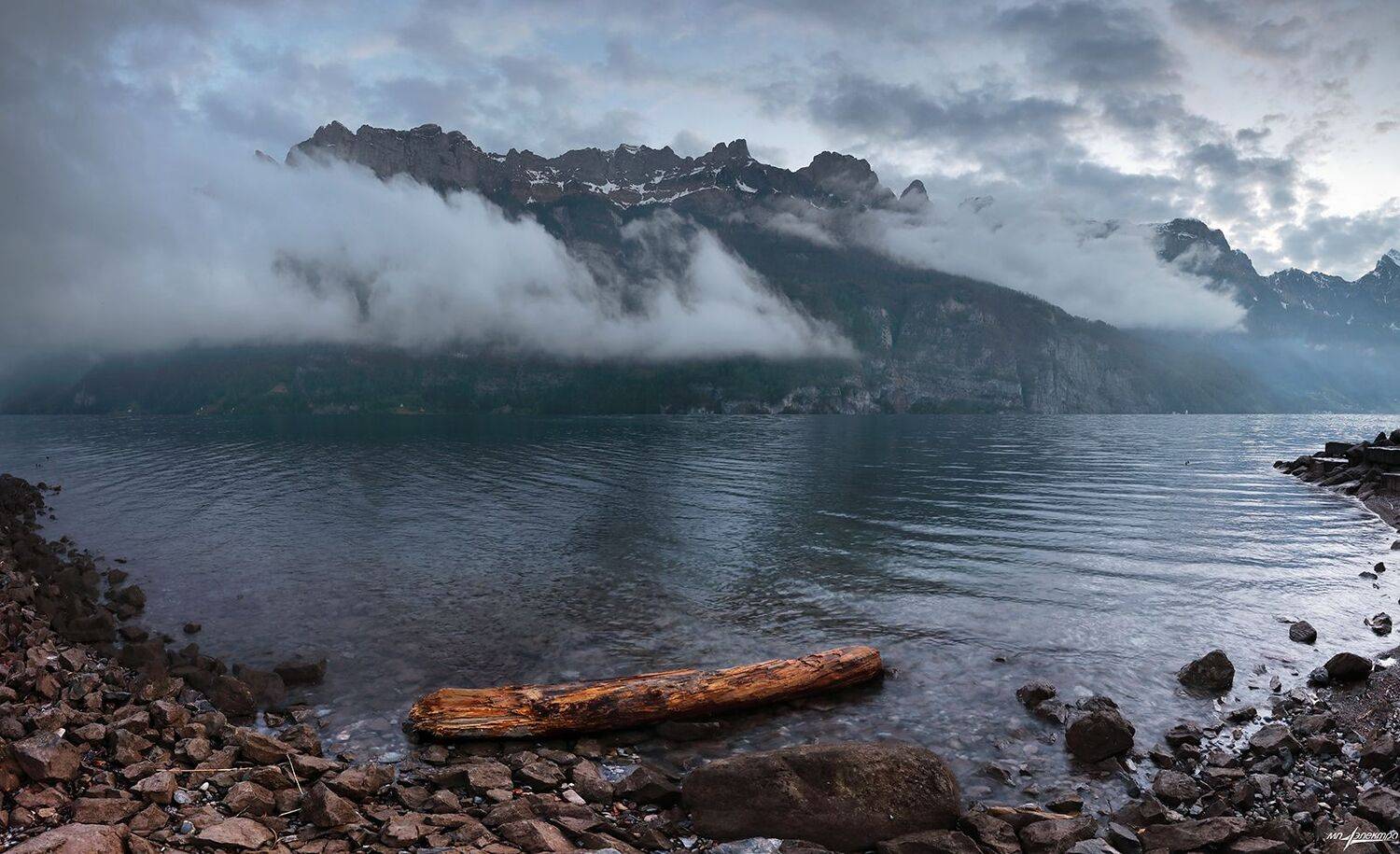 swiss, Матвеев Николай